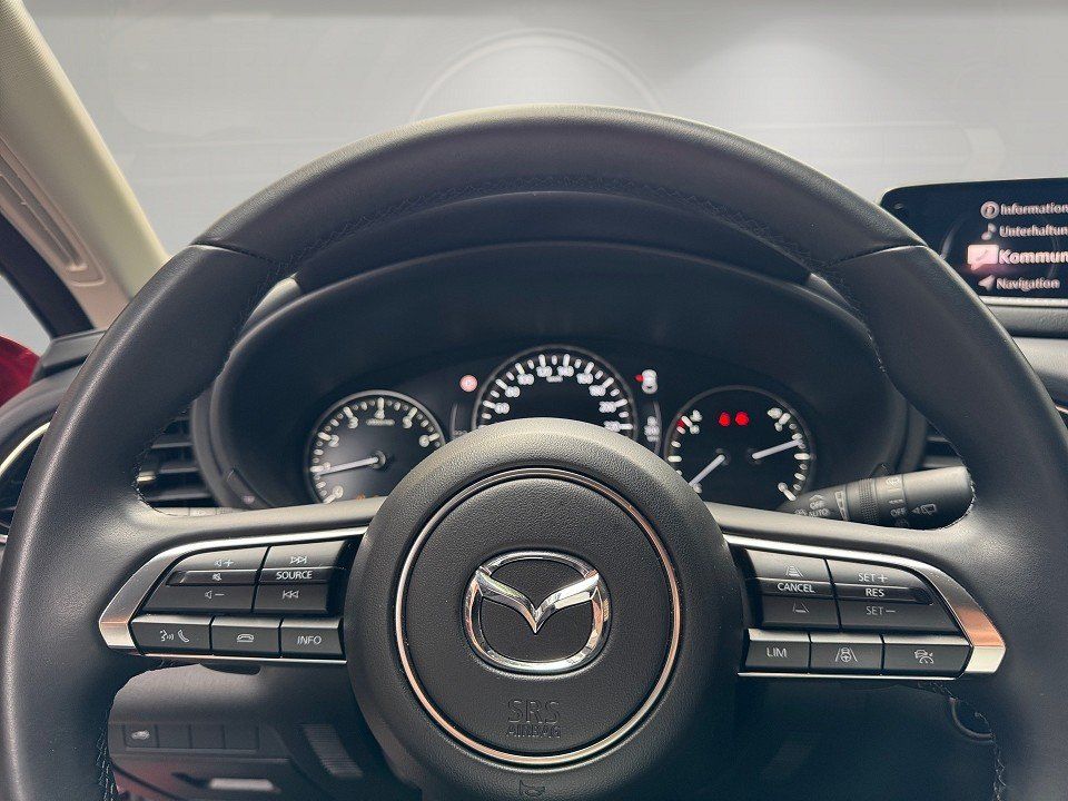 Mazda CX-30 e-SKYACTIV-G 122 AT Exclusive-L. Matrix/36