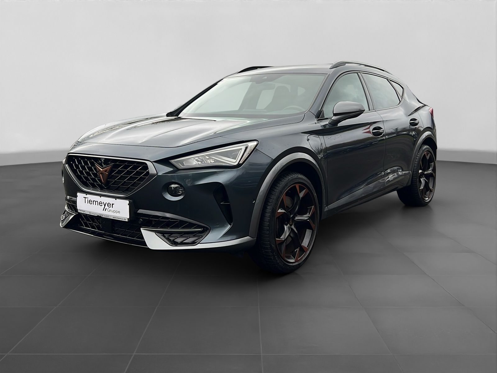 Cupra Formentor 1.4 eHybrid VZ KAMERA LM19 AHK