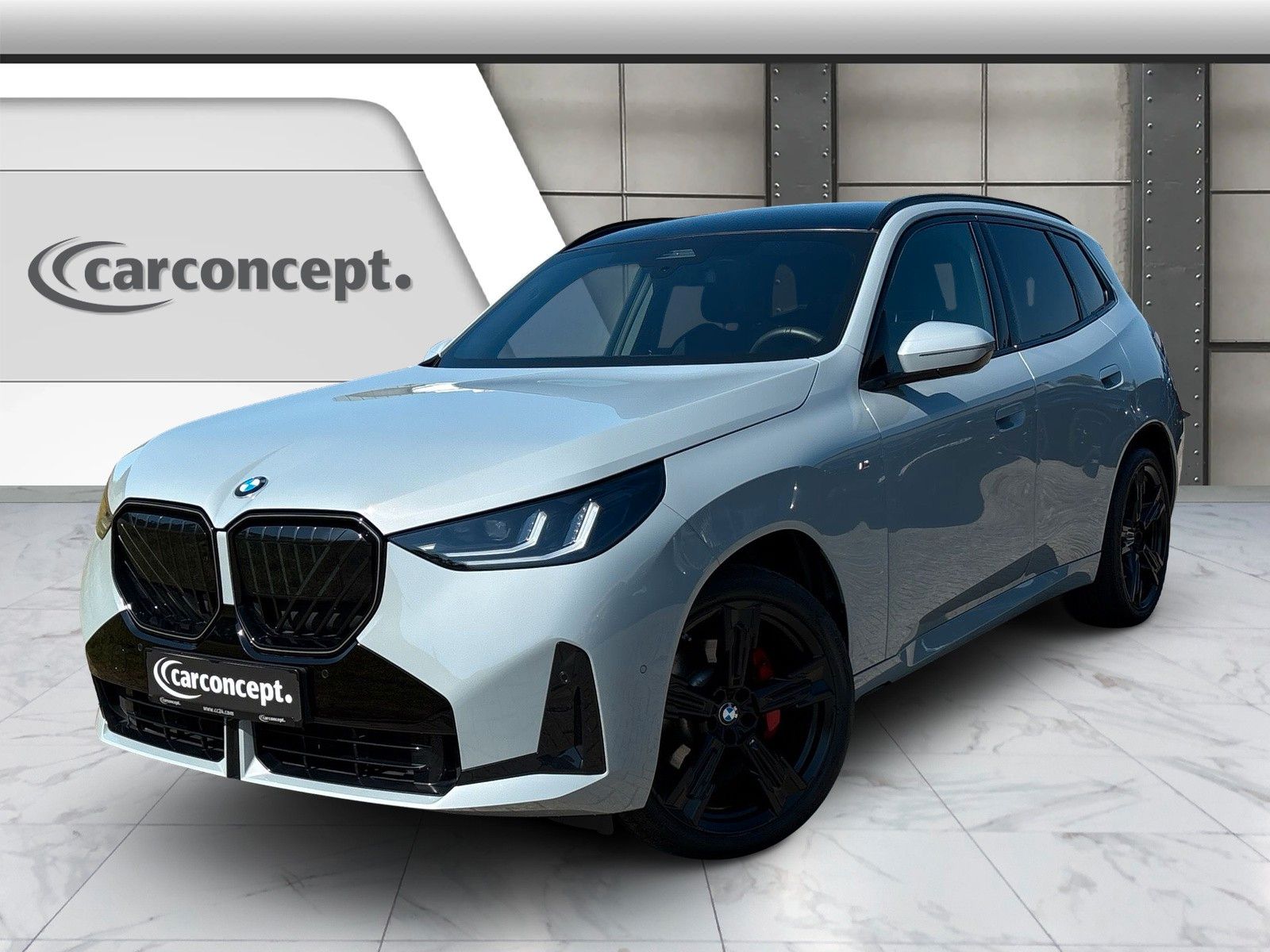 BMW X3 20d xDrive M Sport Pro*21 Zoll*Pano*AHK*H&K*