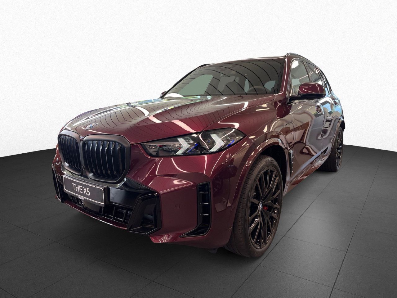 BMW X5 xDrive50e Bowers&Wilkins Autobahn Assistent