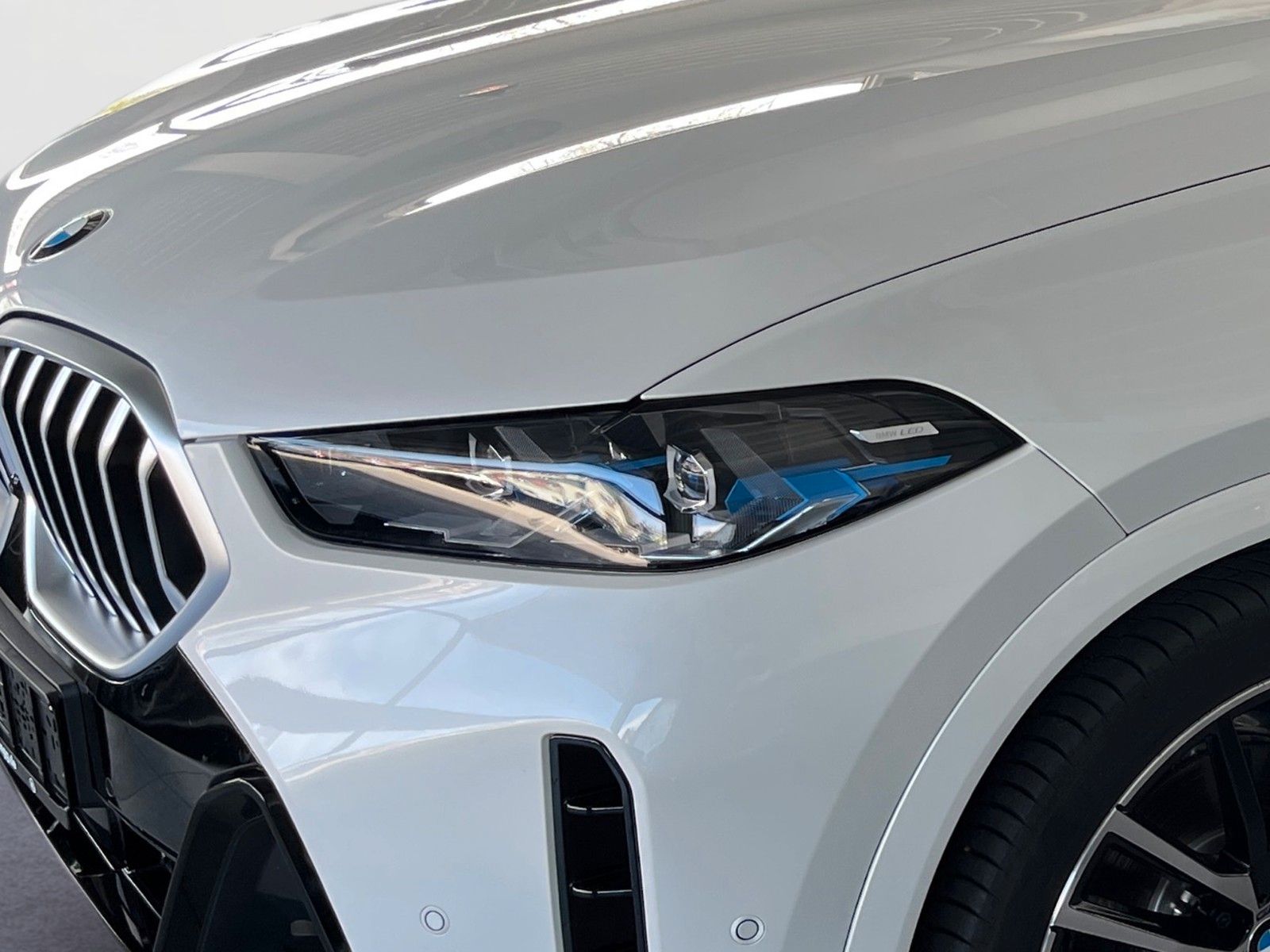 BMW X6 xDrive 40d M SPORT/LED/AHK/PANO-DA/H&K