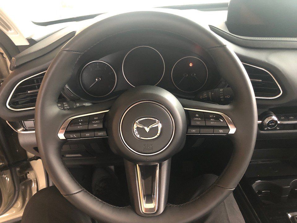 Mazda CX-30 2.5l Centre-Line Designpaket Automatik Mat