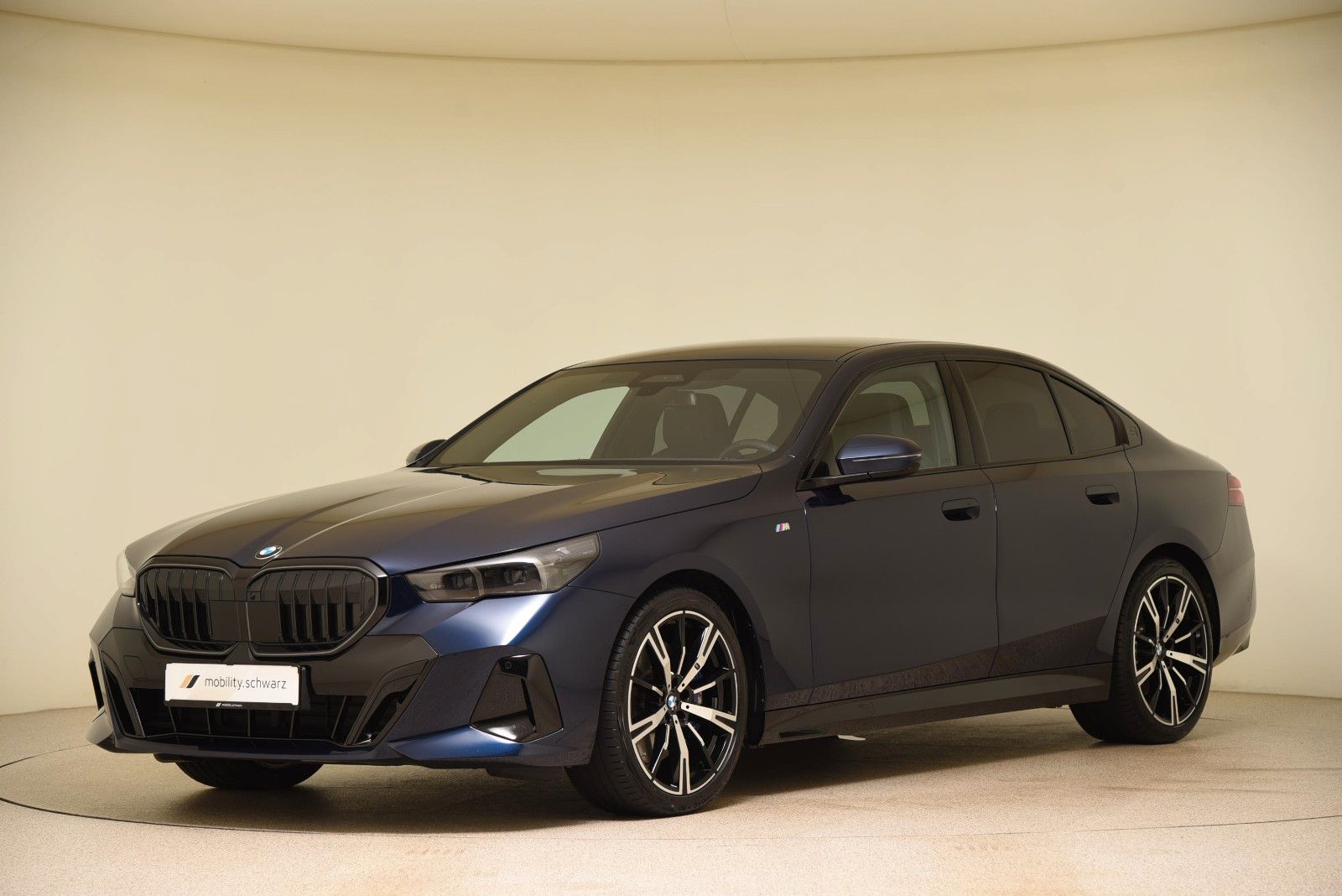 BMW 540d xDrive M Sport Pro ACC StandHzg LED H&K DAB