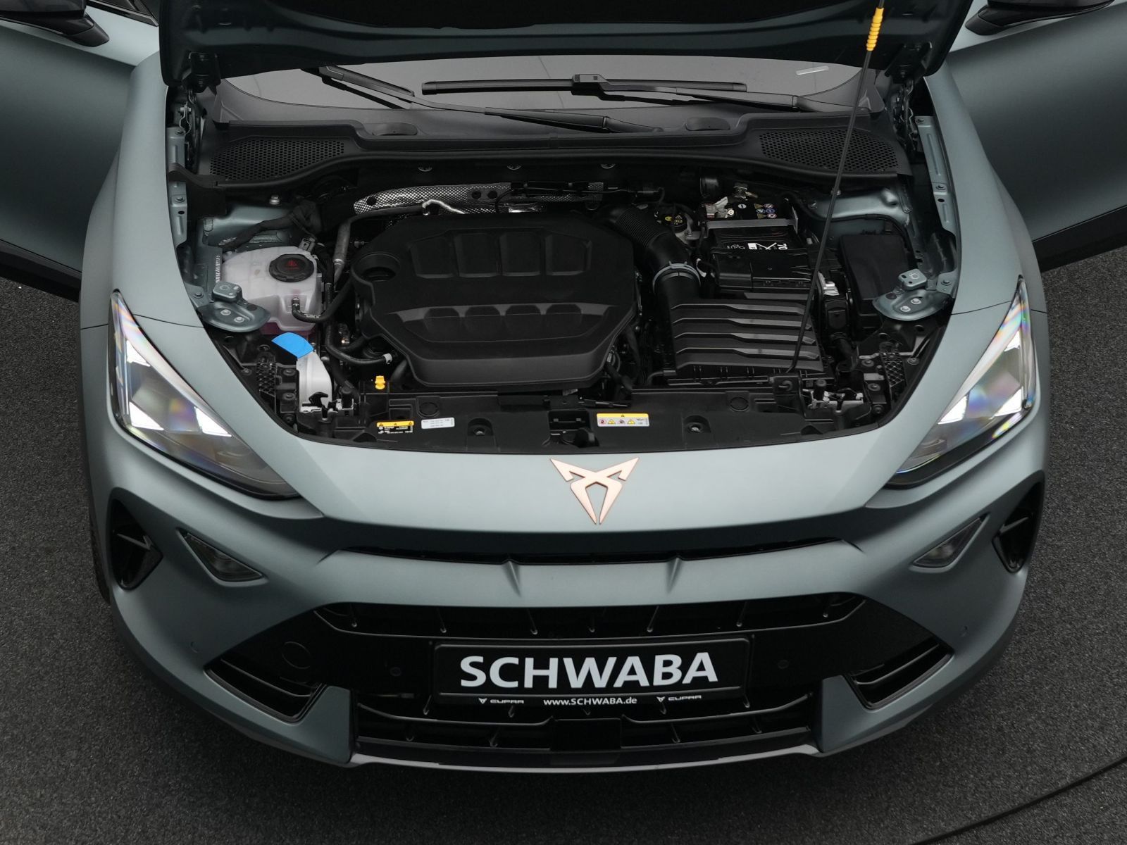 Cupra Formentor VZ Extreme 2.0 TSI *LED*AHK*ACC*PANO*