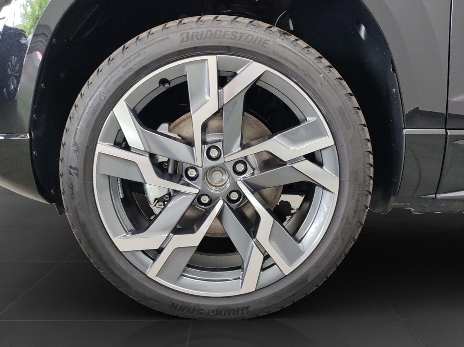 Skoda Karoq 2.0 TSI DSG 4x4 SPORTLINE LM19 LEDER PANO