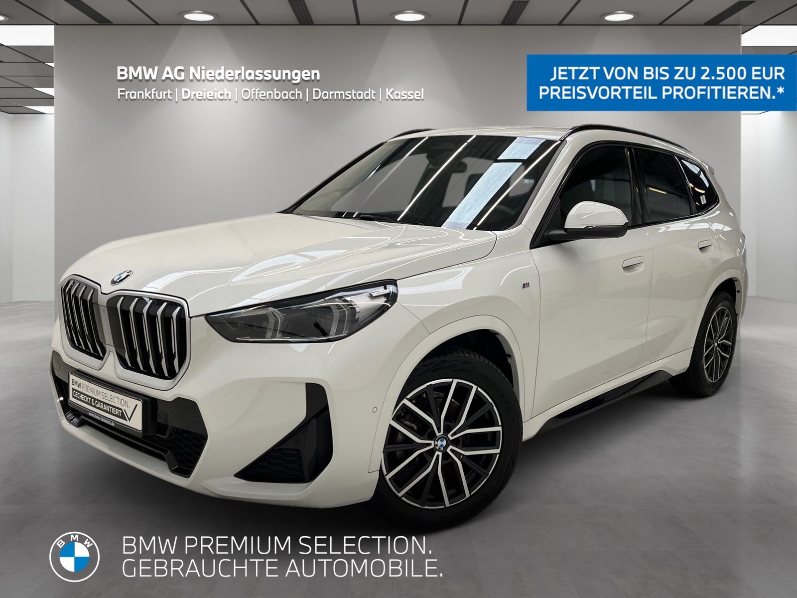 BMW X1 xDrive20d M Sport AHK Driv.Assist+ Harman/K