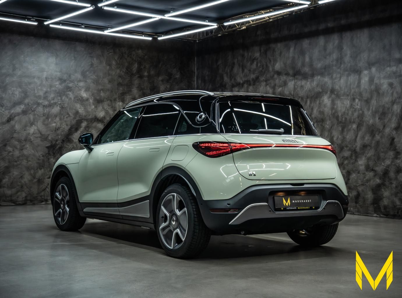 Smart #1 PULSE #368PS #ALLE ANDEREN HABEN KEINE AHNUNG