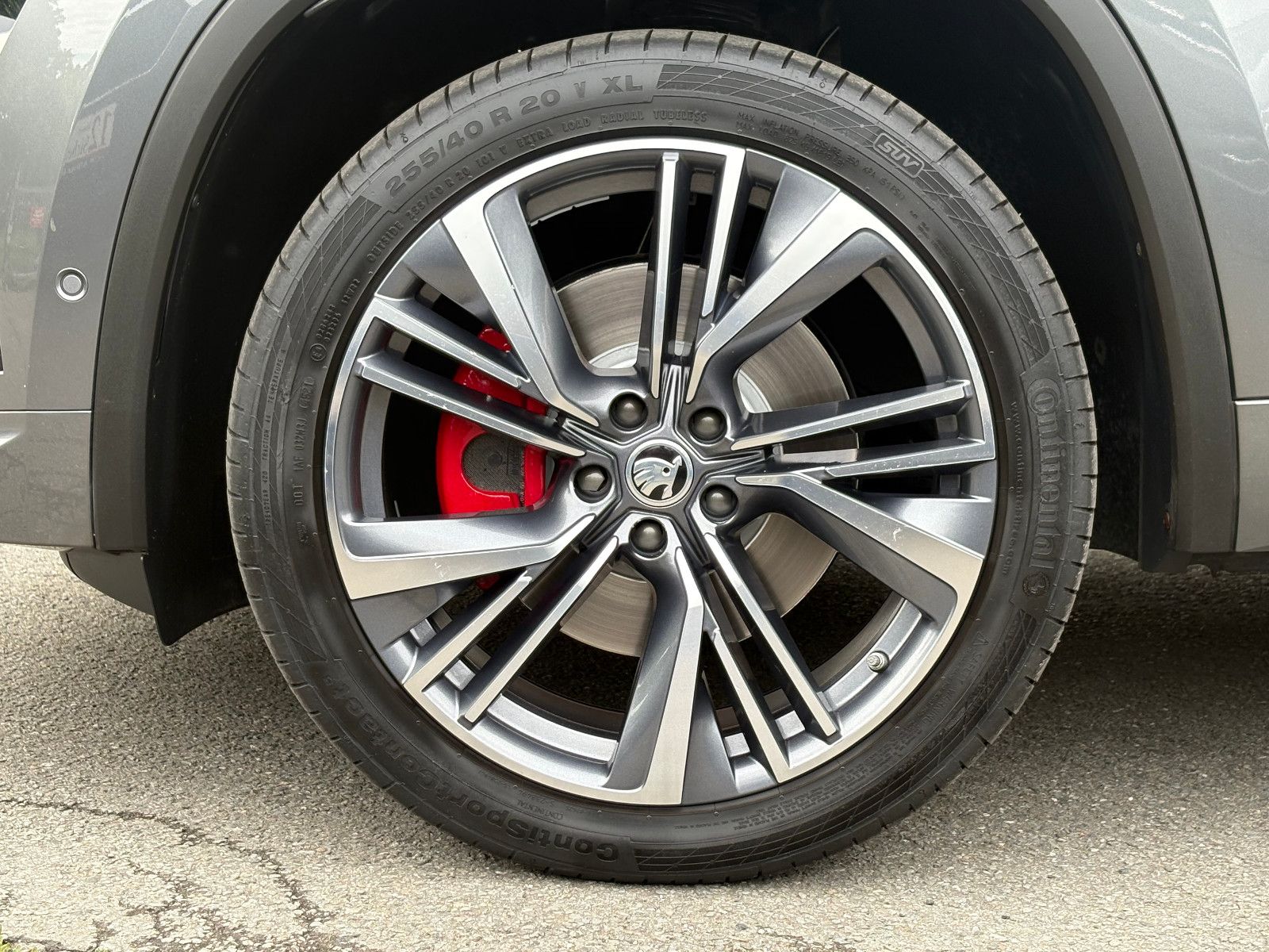 Skoda Kodiaq 2.0 TSI DSG RS 4x4 AHK PANO 360°KAM LHZ