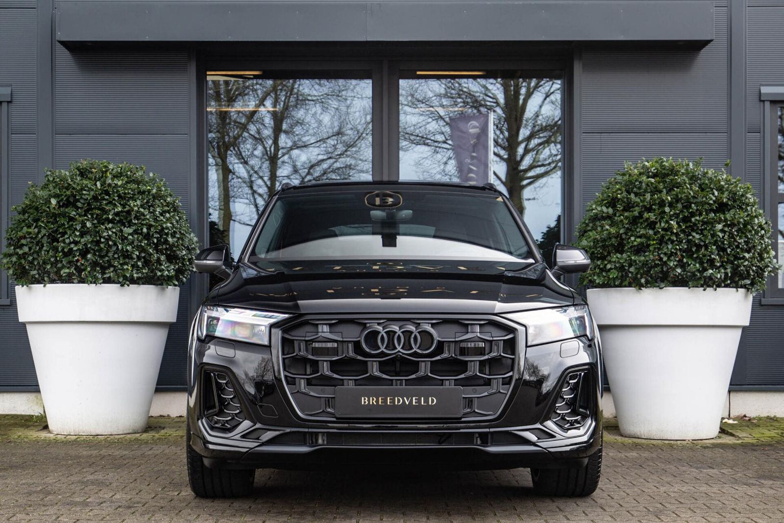 Audi Q7 50 TDI quattro Pro Line Advanced 7p