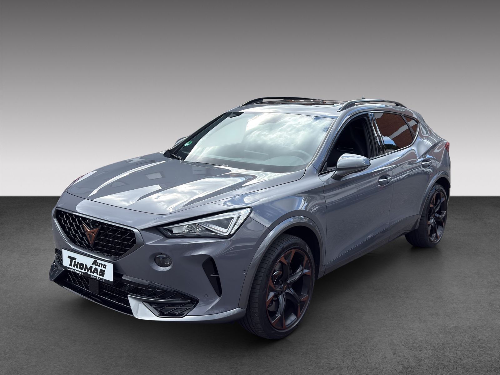 Cupra Formentor VZ 2.0 TSI DSG AHK+PANO+BEATS