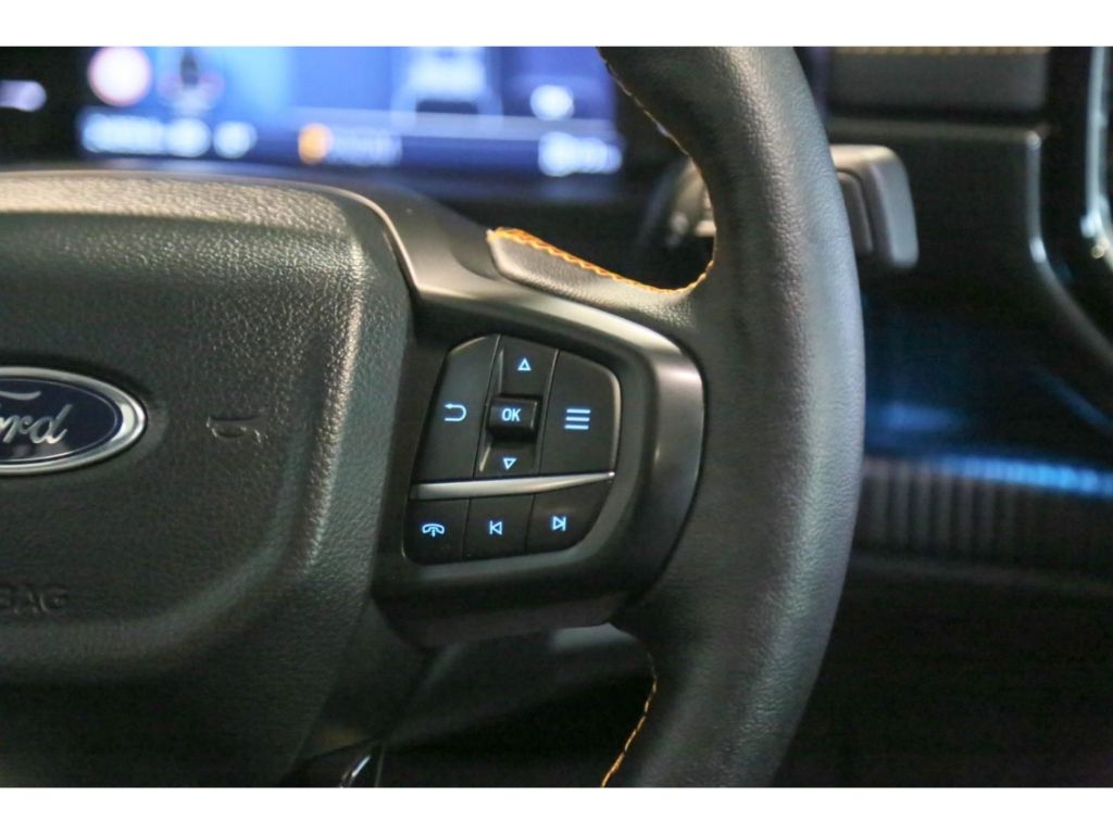 Ford Ranger 3.0d V6 Aut. Wildtrak StHz AHK e-Rollo AC