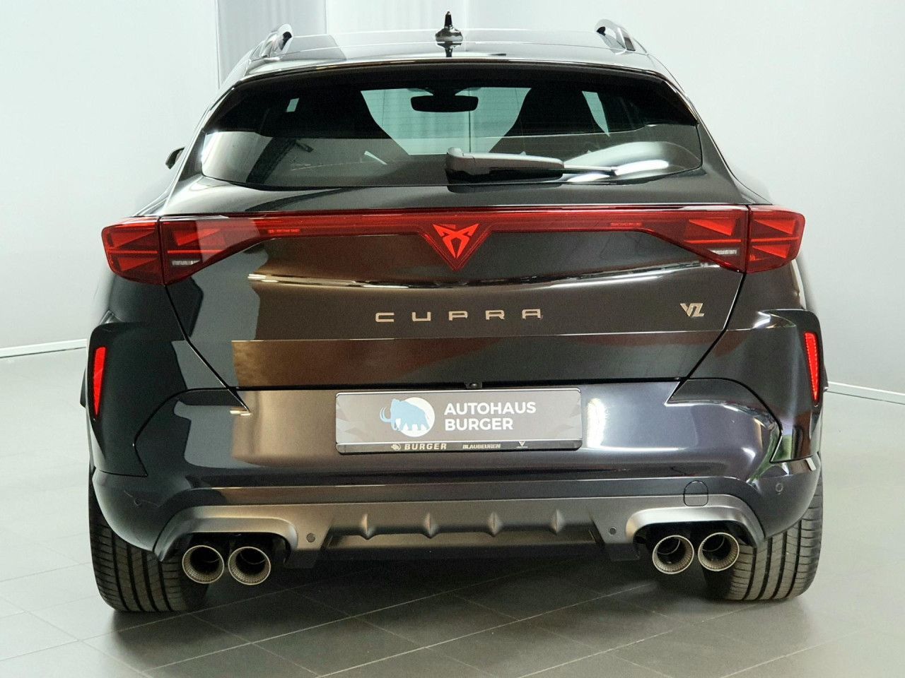 Cupra Formentor VZ 2.0TSI DSG 4Drive Akrapovic/Pano/