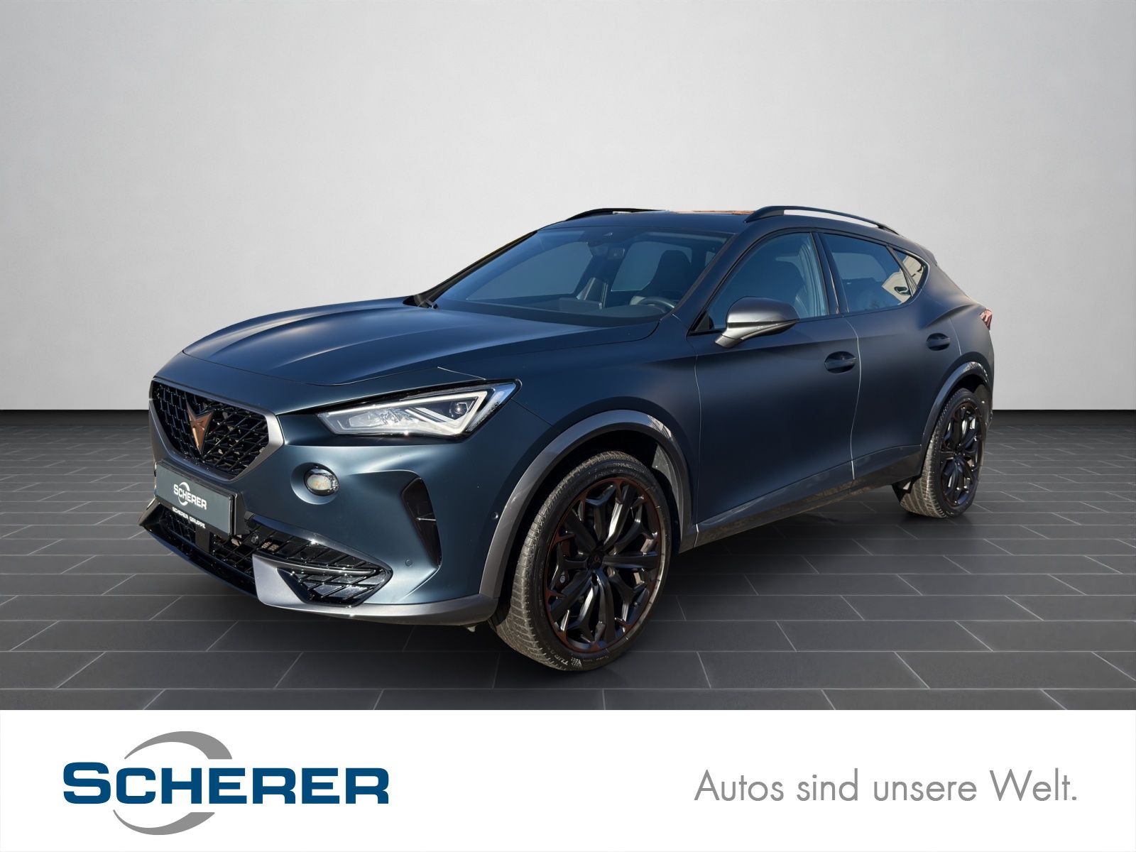 Cupra Formentor VZ 2.0 TSI DSG AHK Fahrassistenz XL Pa