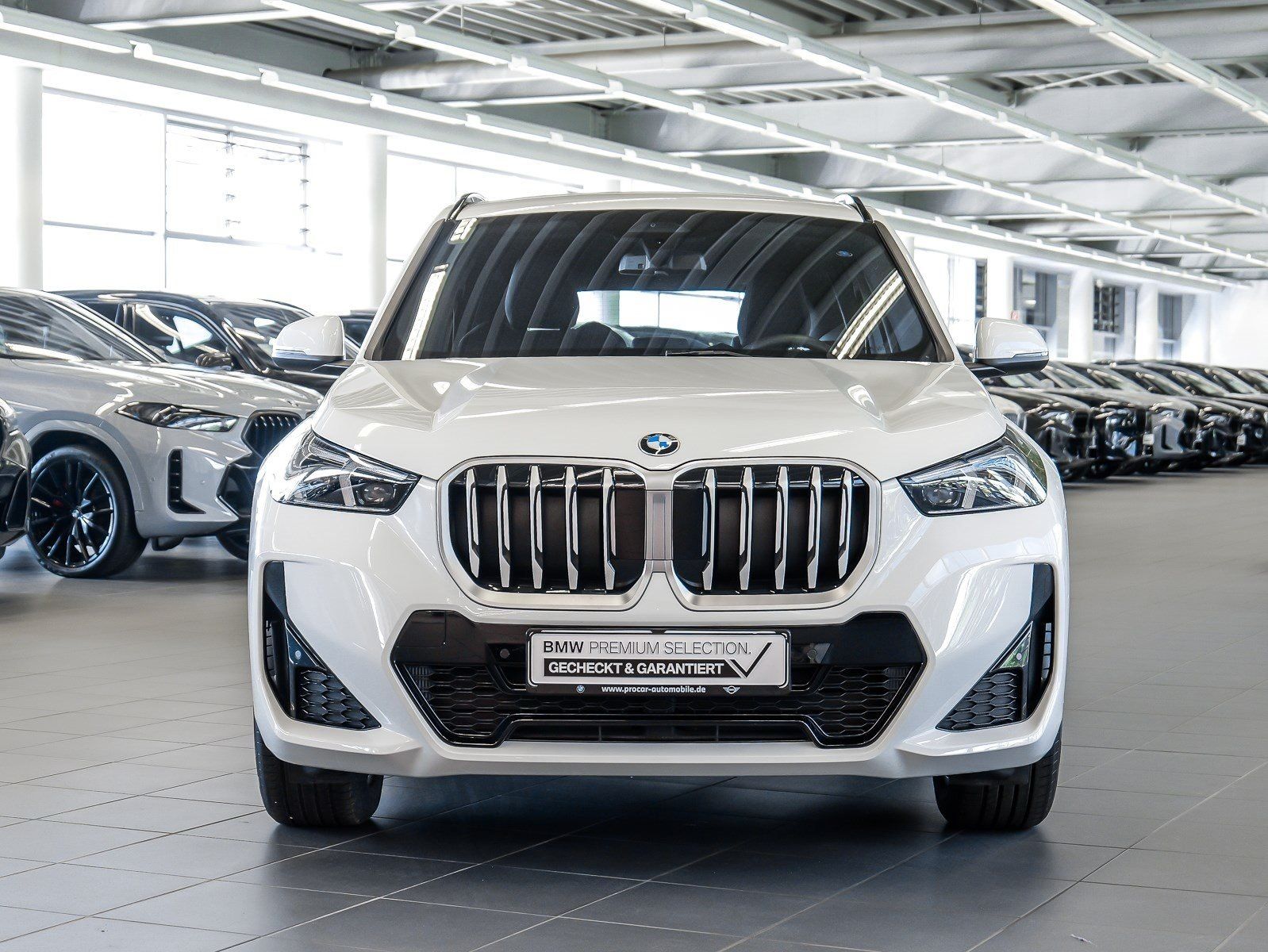 BMW X1 xDrive20d M Sport ACC AHK RFK NAVI LED DAB