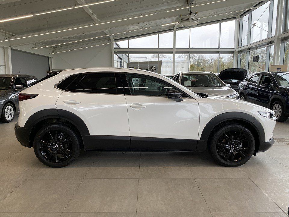 Mazda CX-30 2.5 Homura AUTOMATIK LED, Qi, Log-in, Head