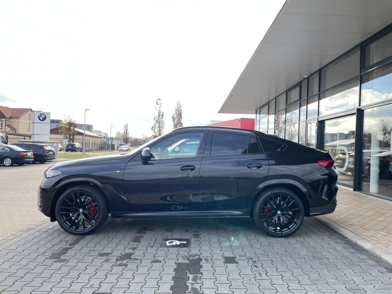 BMW X6 xDrive30d M Sport Pro Pano Sthz Comfort Paket