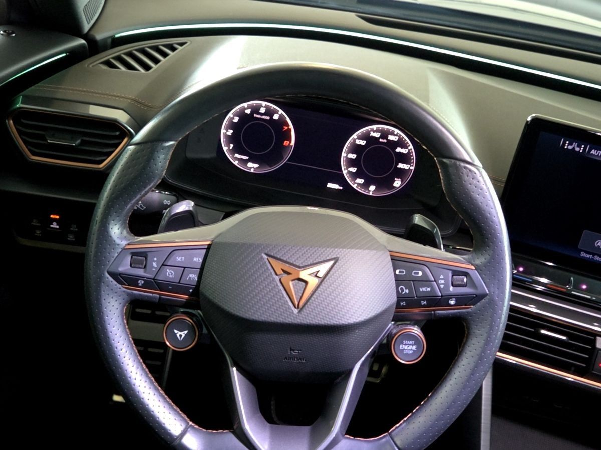 Cupra Formentor VZ 2.0 TSI 4Drive DSG|LED|ACC|AHK|PANO