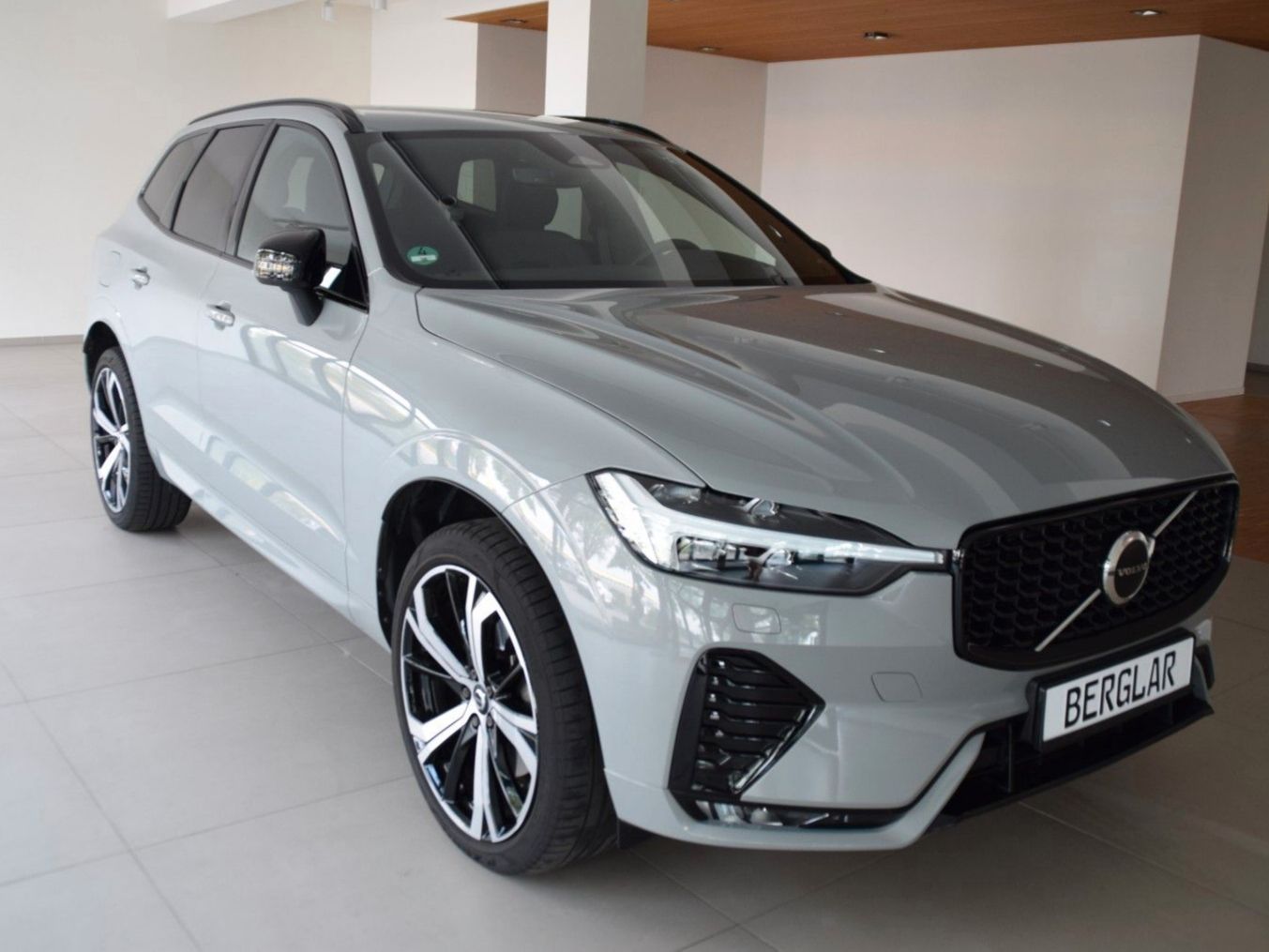 Volvo XC60 B4 D Plus Dark/Standh./21"-Alu/Harman Kardo