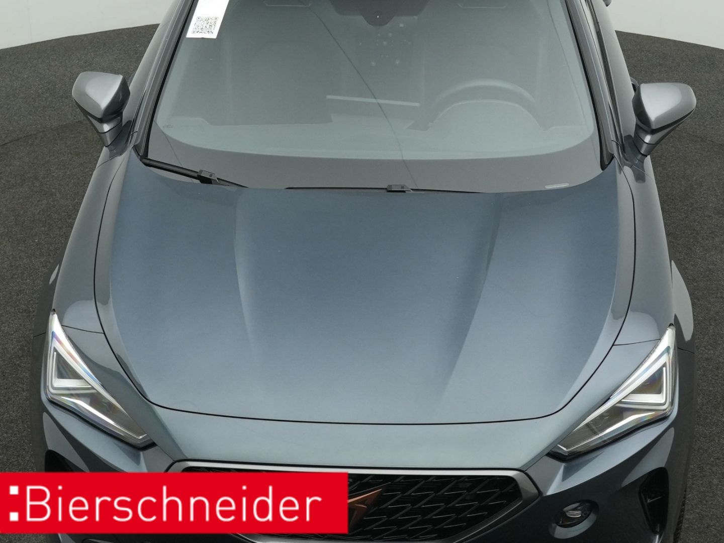 Cupra Formentor 2.0 TSI DSG 4Dr. VZ PANO AHK eHECK 360