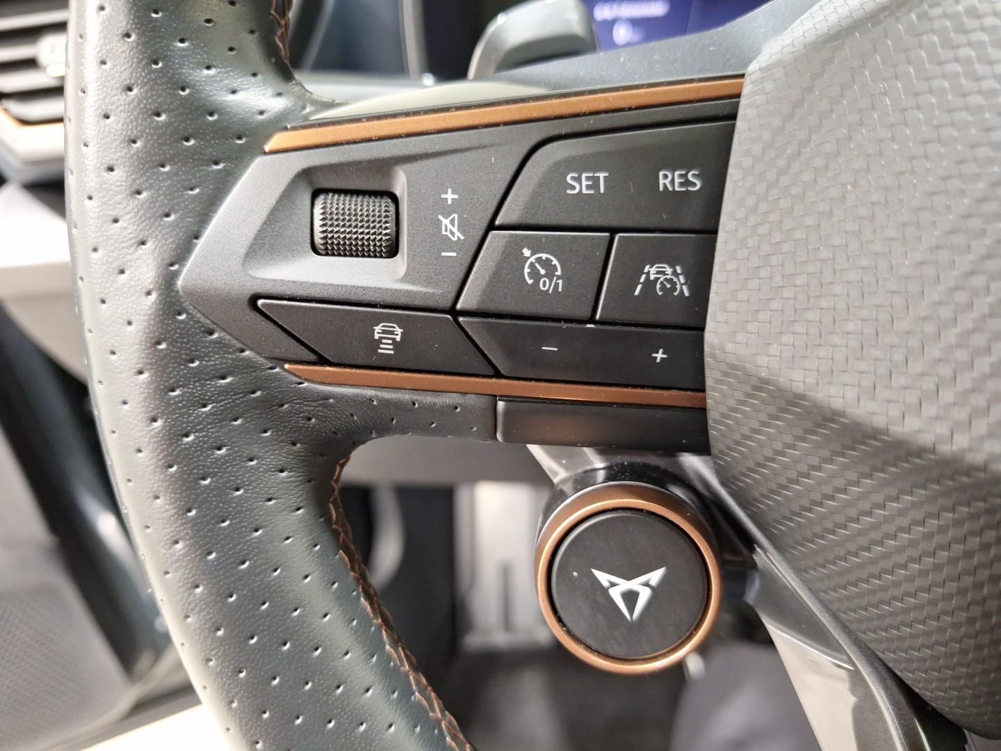 Cupra Formentor 1.4 TSI DSG VZ e-Hybrid Pano|AHK|Bremb