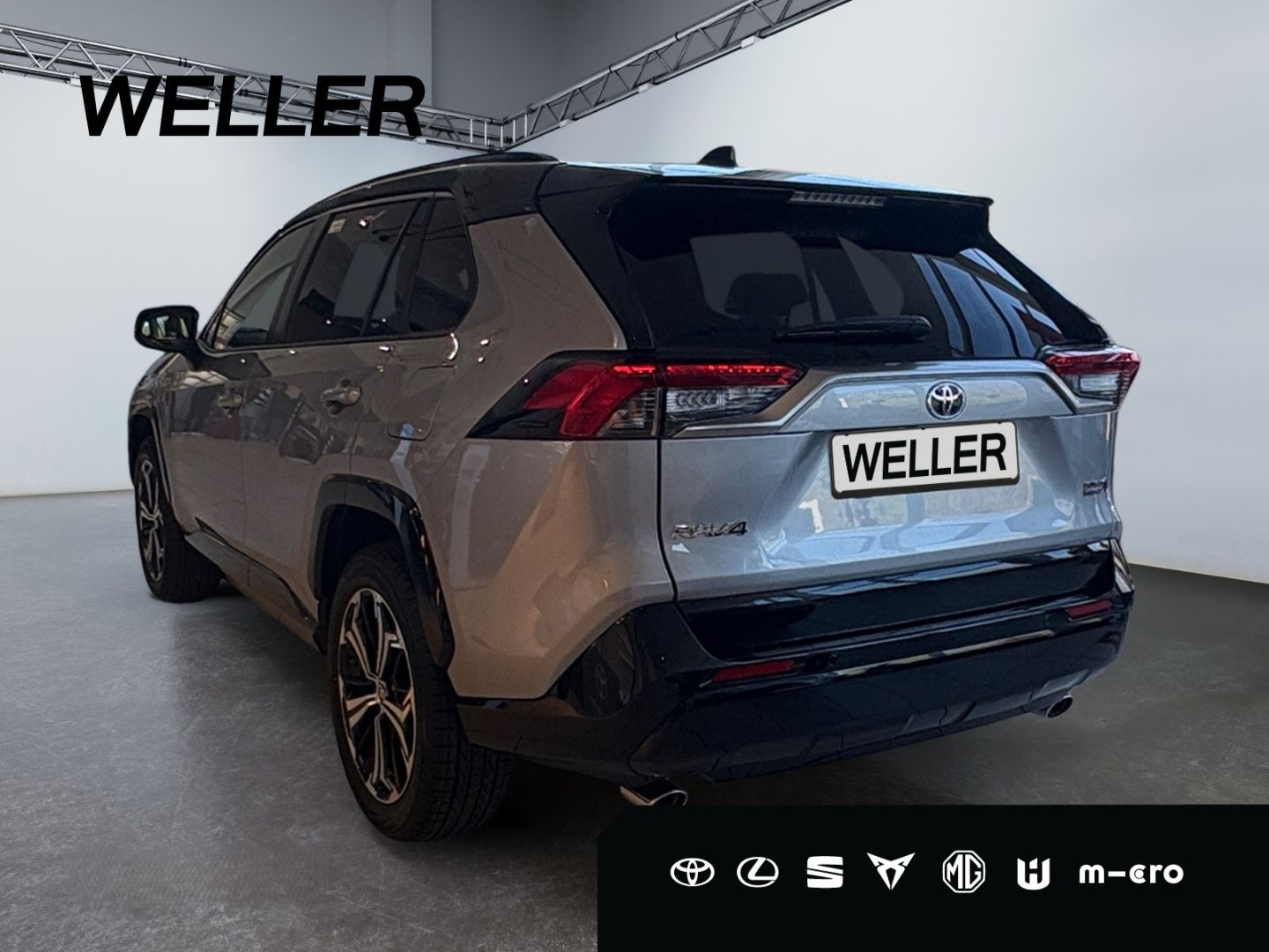 Toyota RAV 4 Plug-in-Hybrid Style 8 Fach bereift