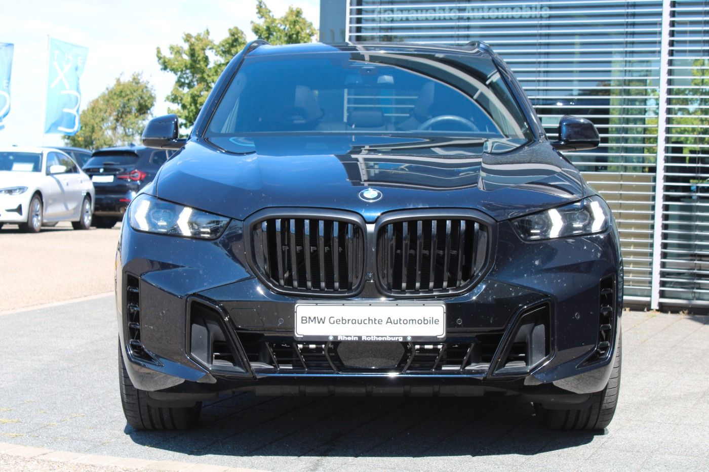 BMW X5 xDrive30d M Sport Pro Live ACC AHK Pano HUD