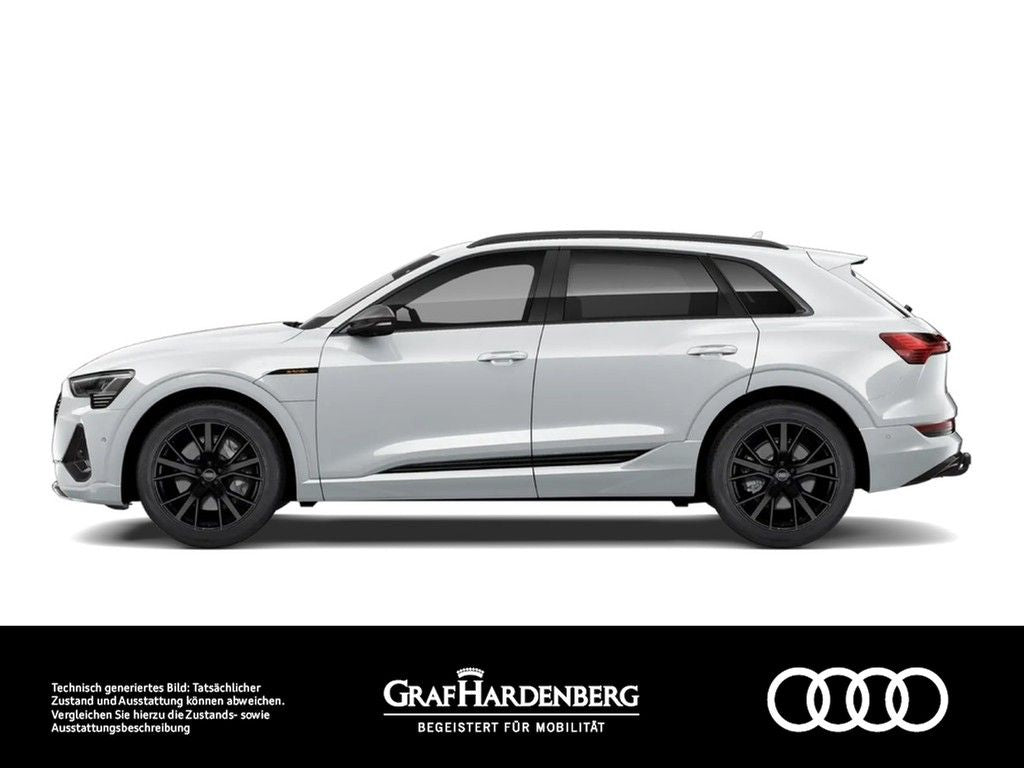 Audi e-tron 55 e-tron quattro S line Matrix B&O AHK