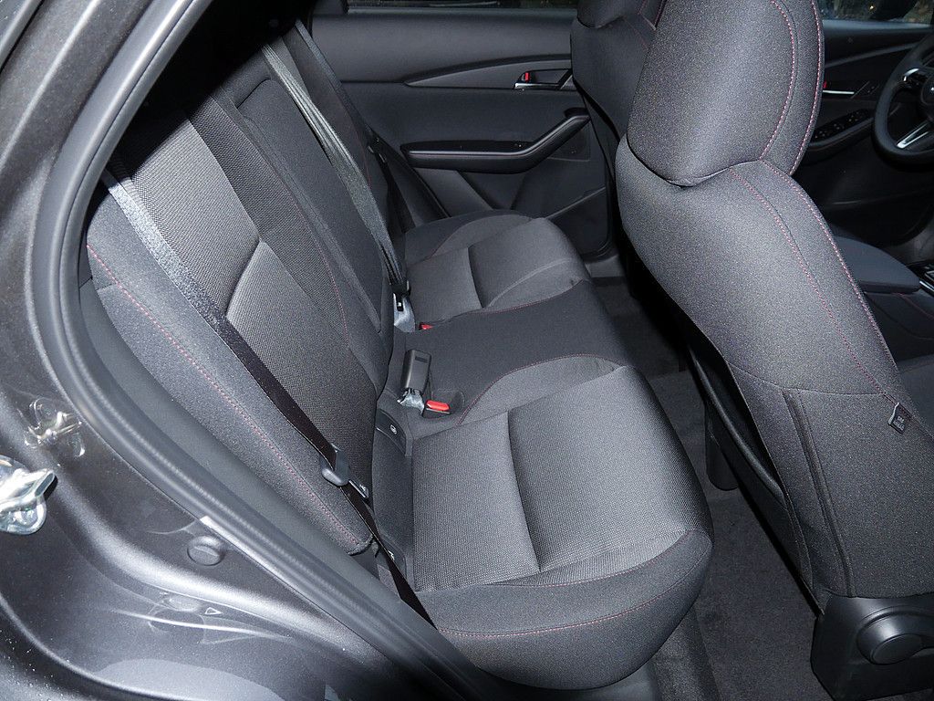 Mazda CX-30 e-SKYACTIV G Homura FWD NAVI ACC HUD LED