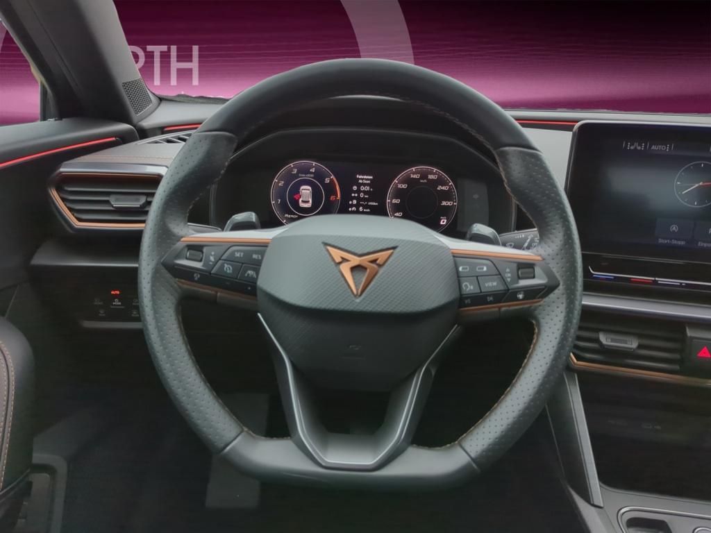 Cupra Formentor 2.0 TDI 4Drive - Samsaru's Car Outlet