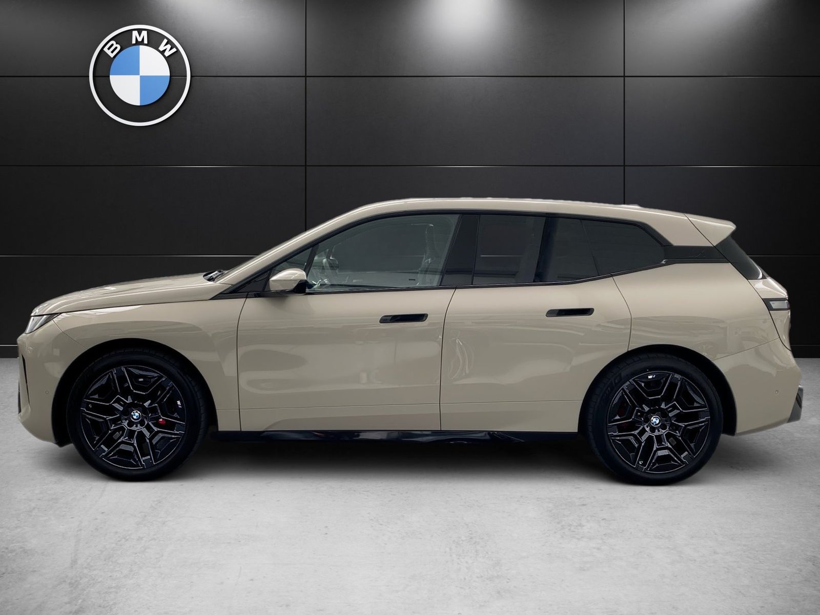 BMW iX xDrive60 M Sport Pro DA Prof. H/K 22´´ AHK