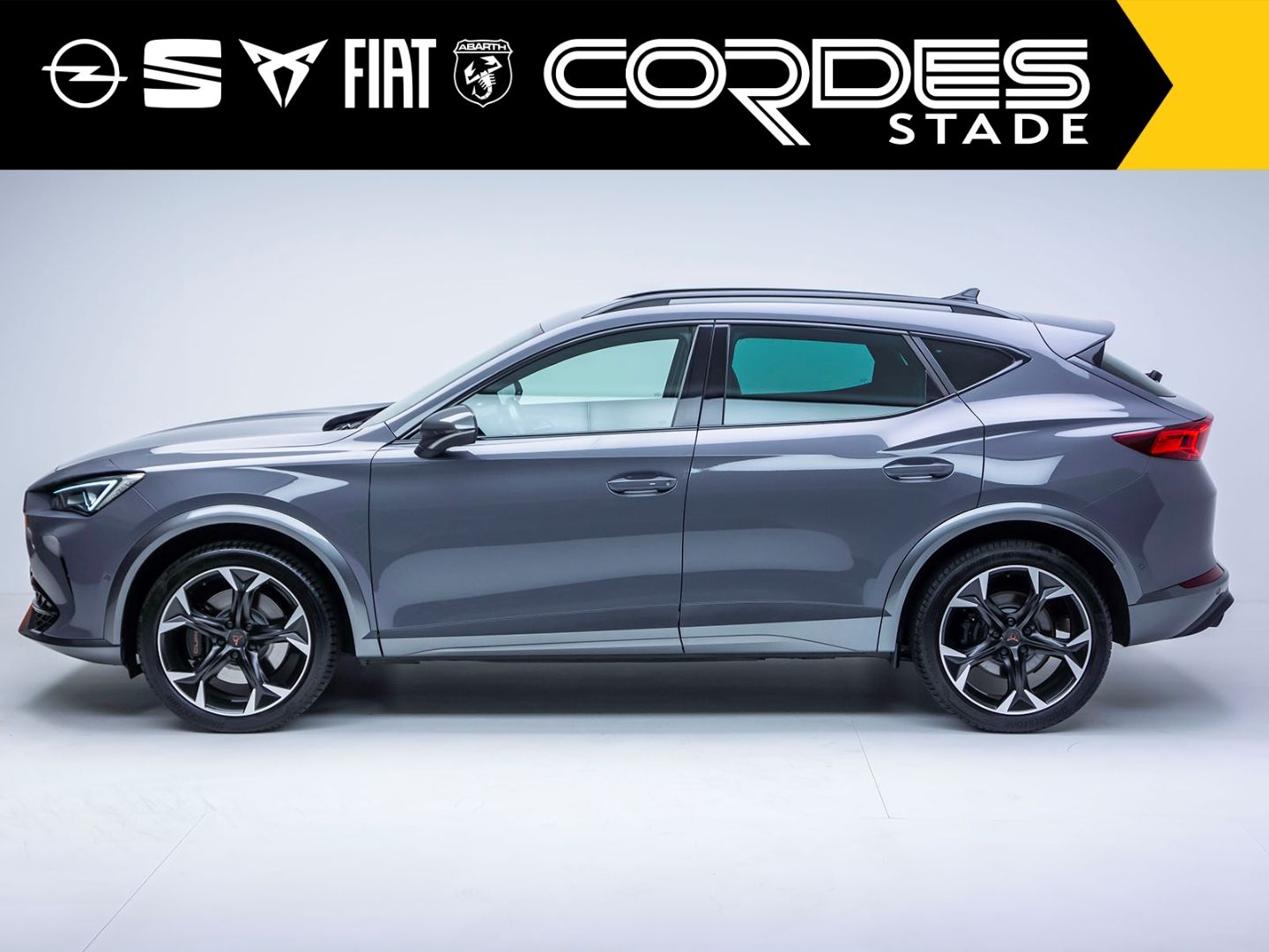 Cupra Formentor VZ 4Drive 2.0 TSI AHK ACC Automatik Ap