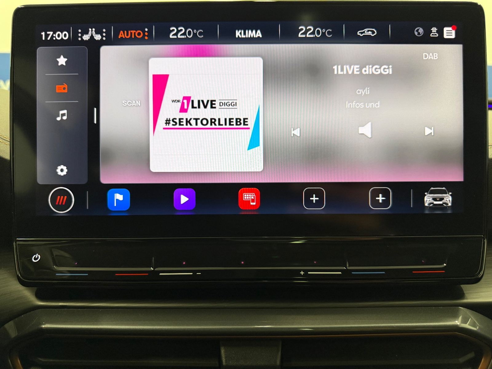 Cupra Formentor 2.0 TSI VZ AHK ACC Virtu 360° Pano LED