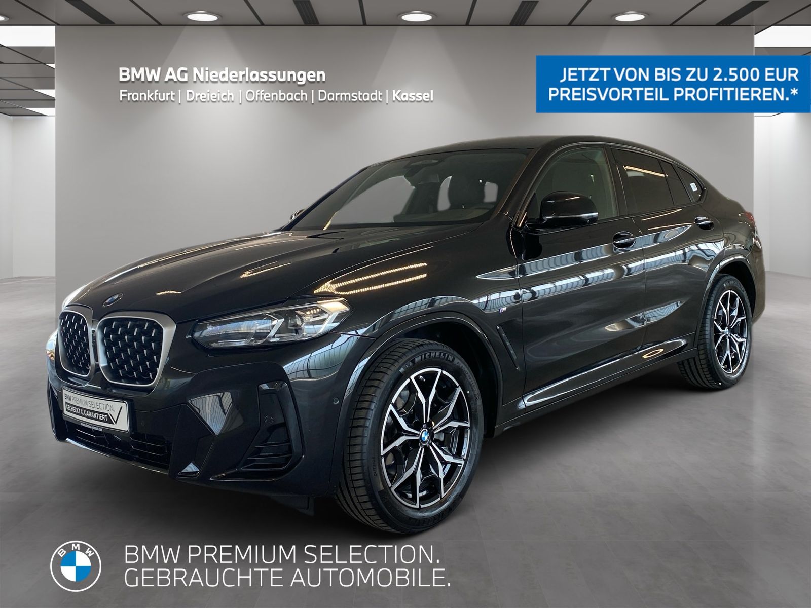 BMW X4 xDrive20i M Sport AHK Driv.Assist.Prof HiFi