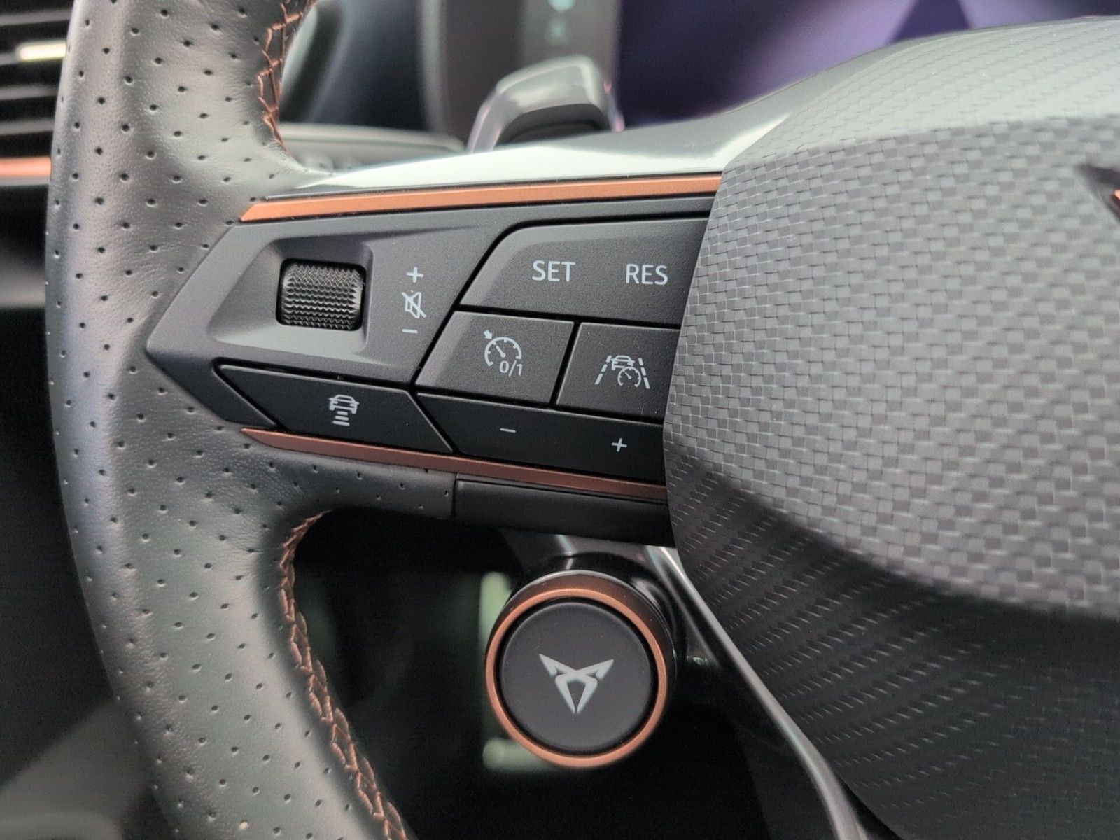 Cupra Formentor 2.0 TSI VZ AHK PANO LEDER CUP COPPER