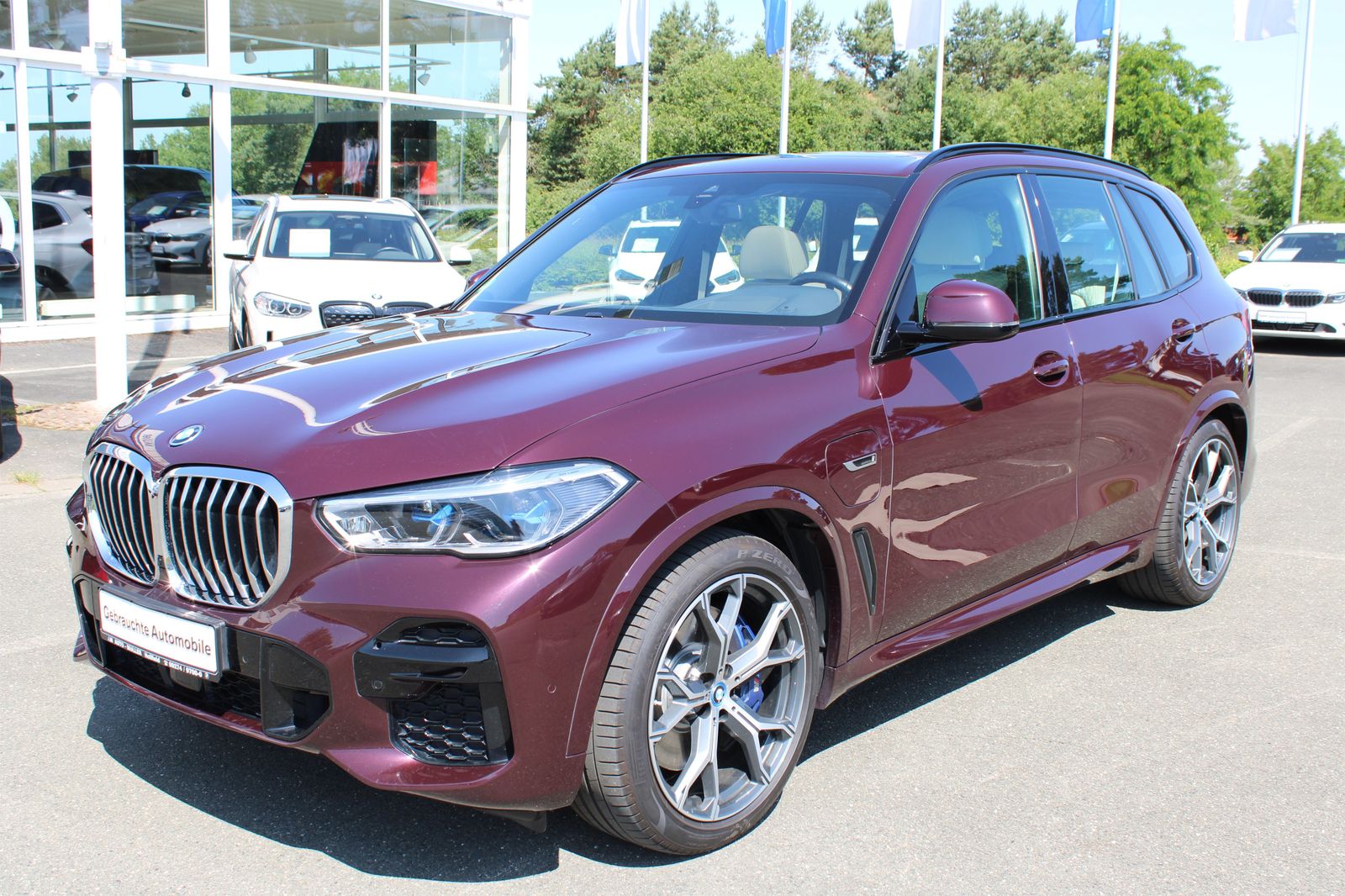 BMW X5 xDrive45e M Sportpaket AHK HiFi