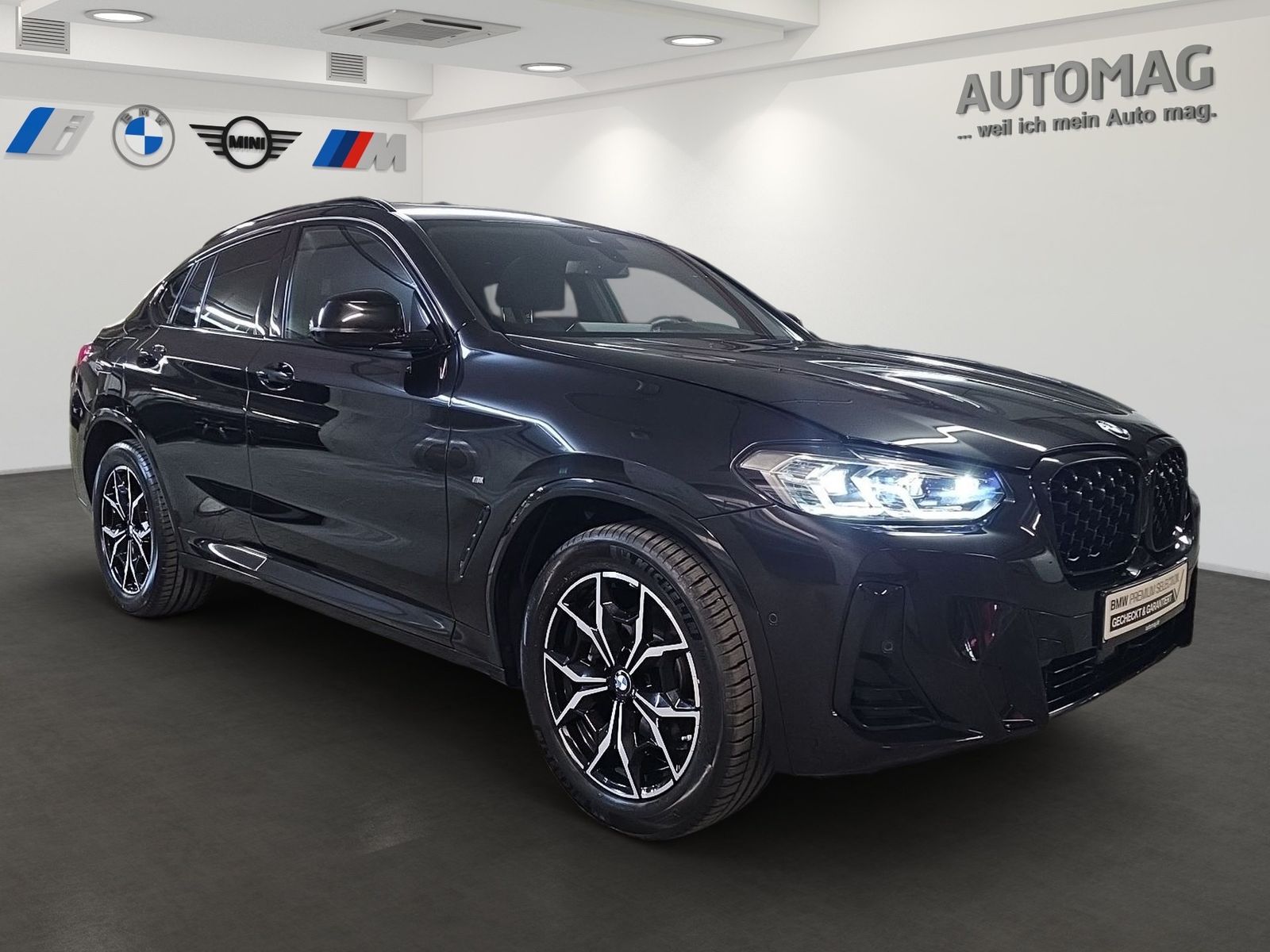 BMW X4 xDrive20i M-Sport*AHK*Panoramadach*DrivingAss