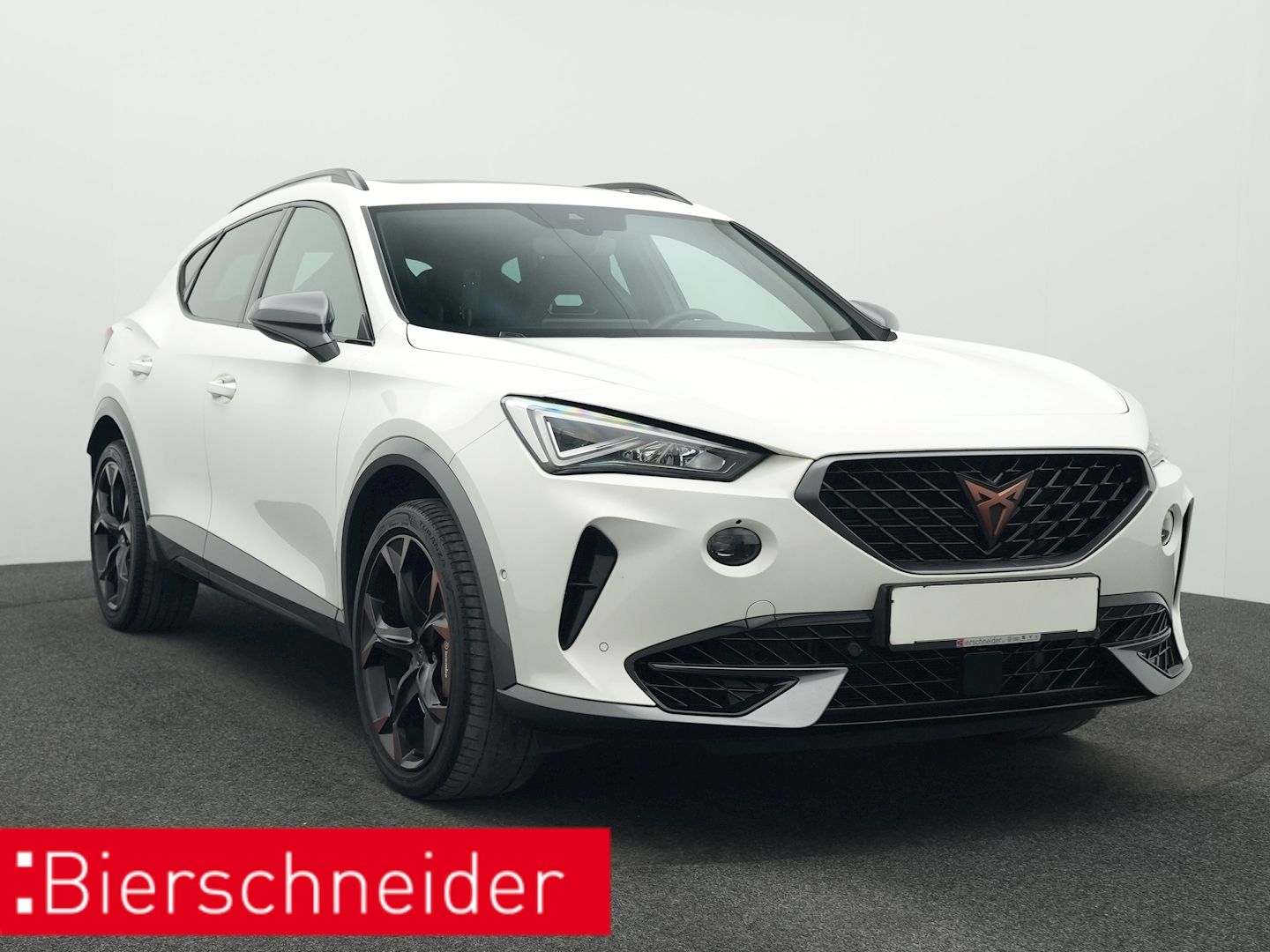 Cupra Formentor 2.0 TSI DSG 4Dr. VZ PANO BREMBO AHK LE