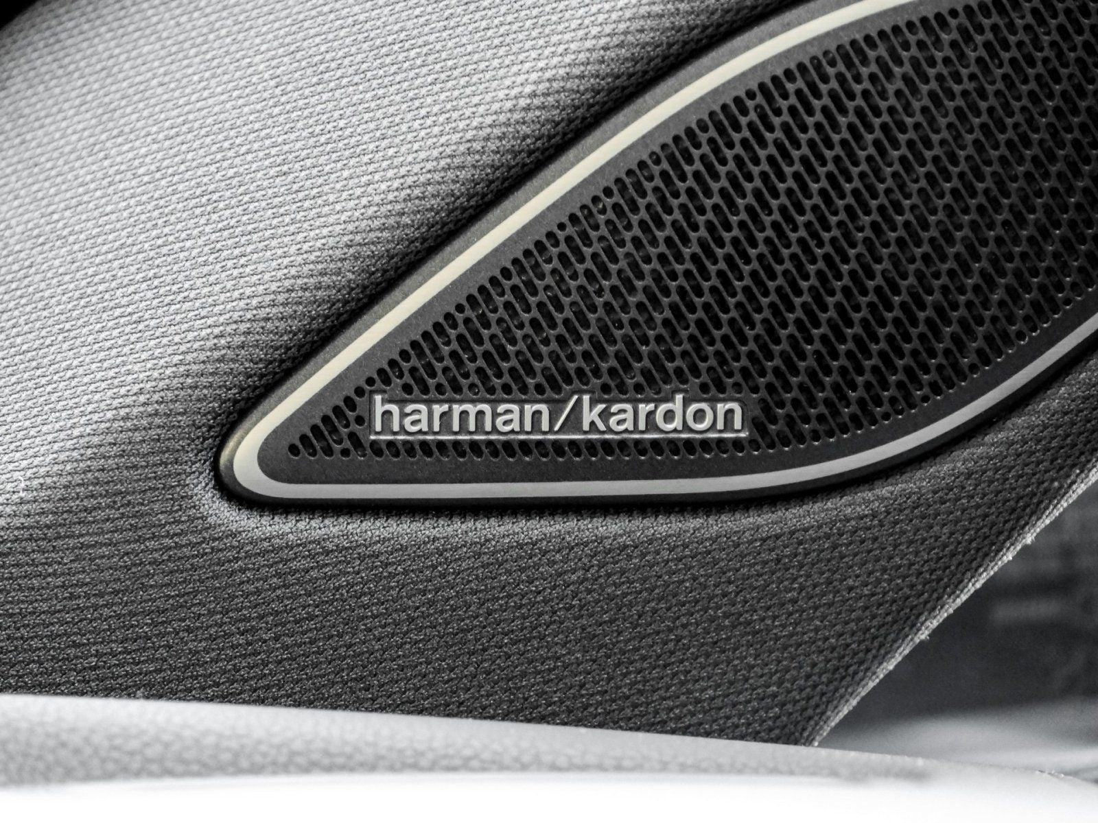 Volkswagen Tiguan R-Line eHybrid AHK 20" Harman Leder IQ.Li