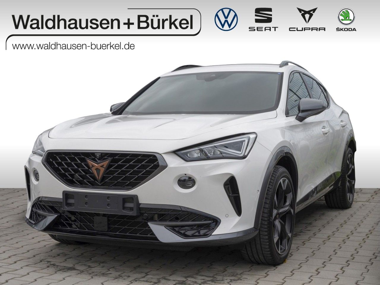 Cupra Formentor VZ 2.0 TSI+AHK+Top View+E-Sitz Klima