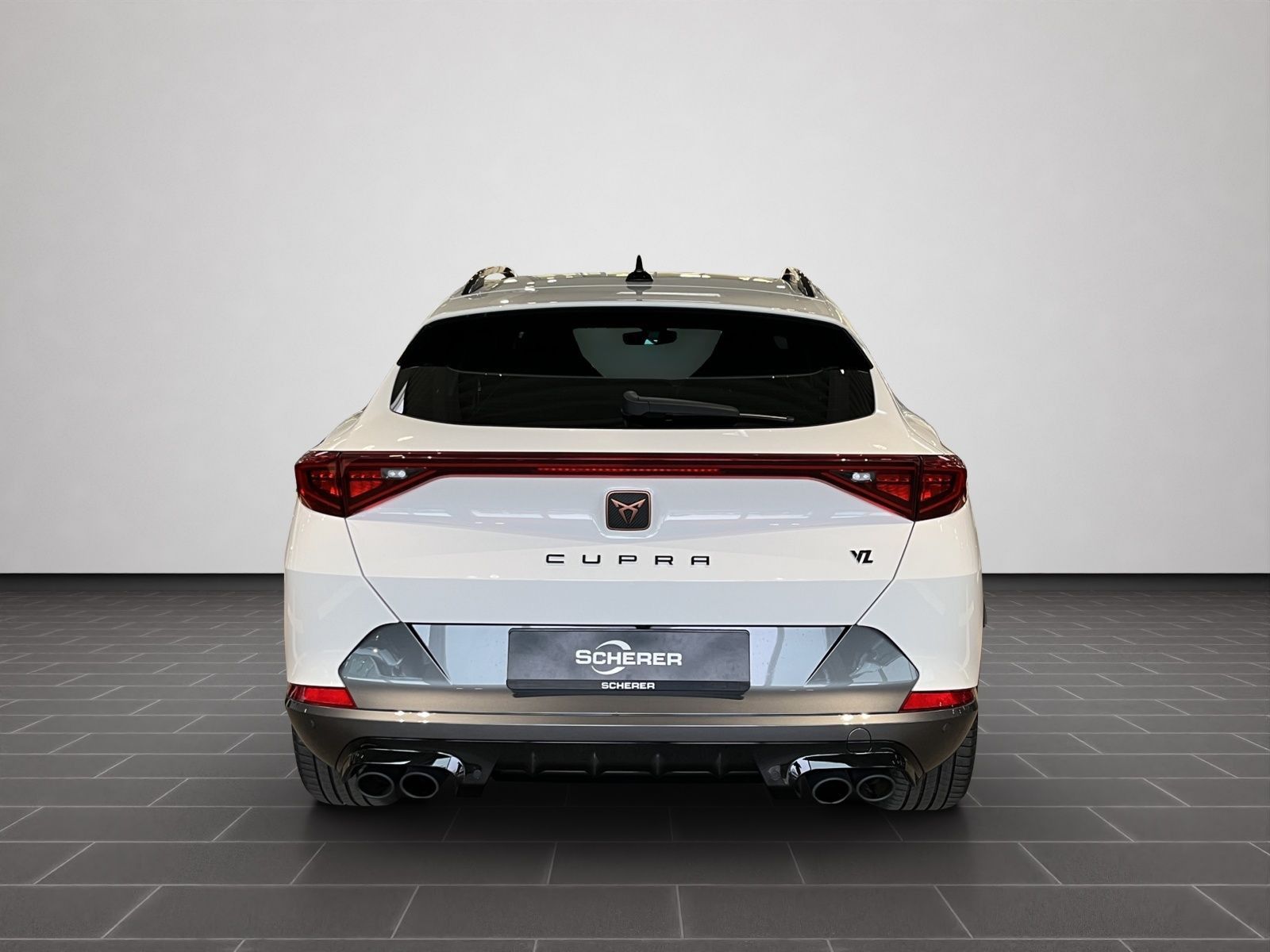 Cupra Formentor VZ 2.0 TSI 4Drive DSG AHK Rückfahrkame