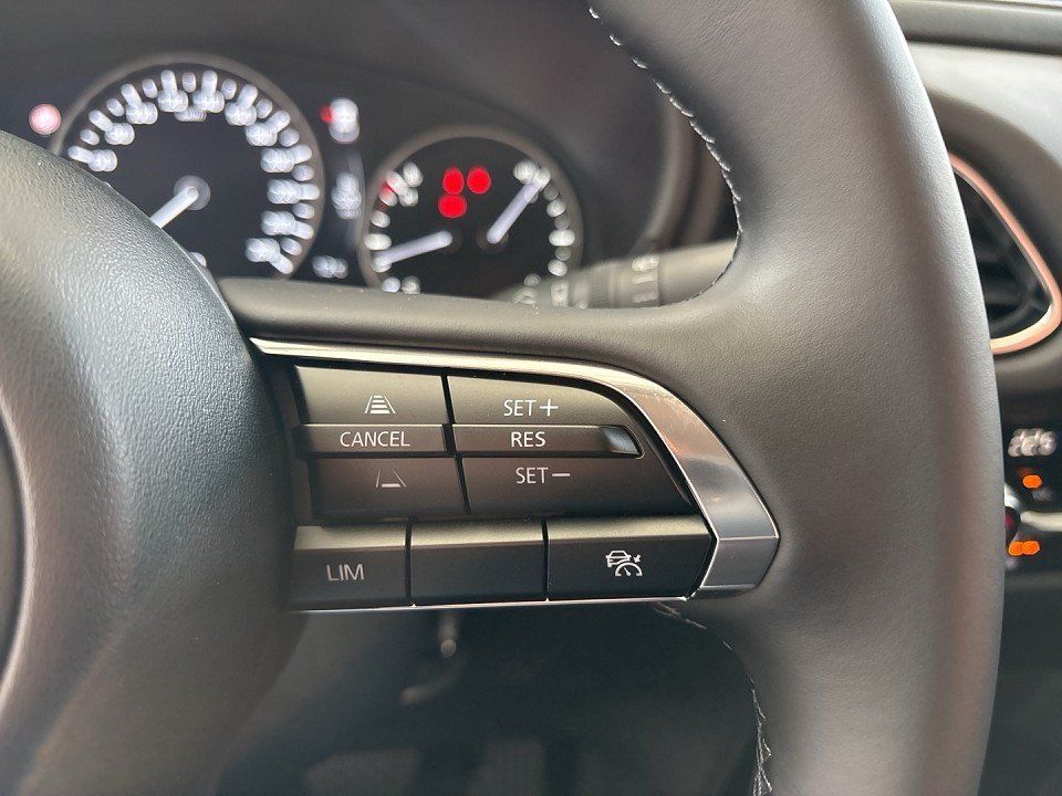 Mazda Cx-30 Homura 2.5i VOLL LED+KAMERA+HEAD UP+SITZHZ