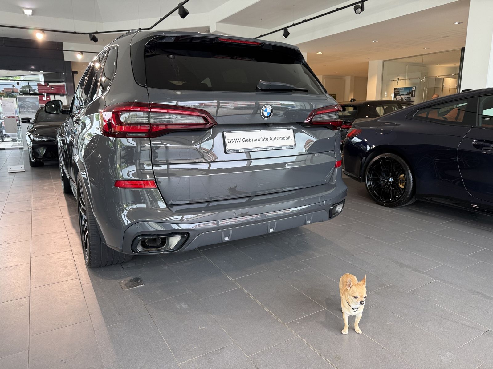 BMW X5 xDrive30d M Sport M Sportpaket Head-Up HiFi