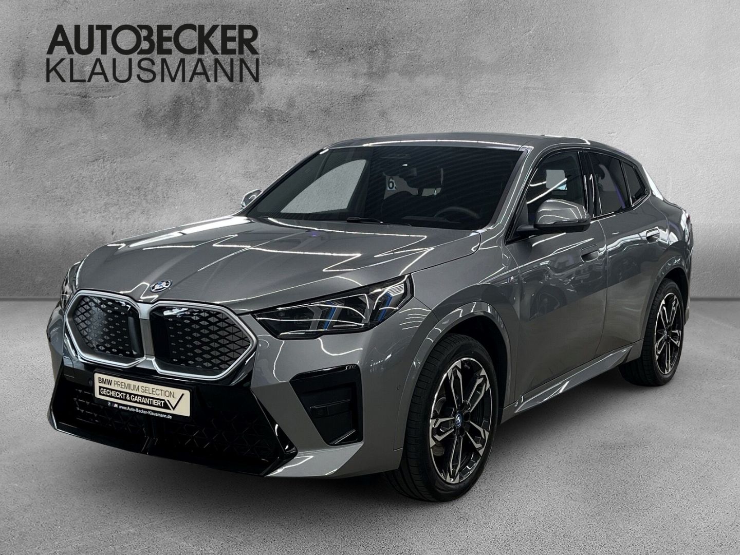 BMW iX2 xDRIVE30 M SPORT AUTOMATIK LC PROF HuD AHK K