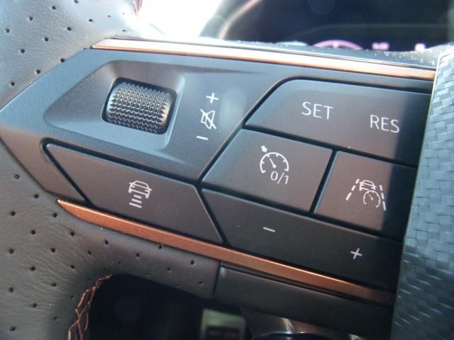 Cupra FORMENTOR VZ 2.0 TSI 4DRIVE DSG AHZV NAVI DAB+