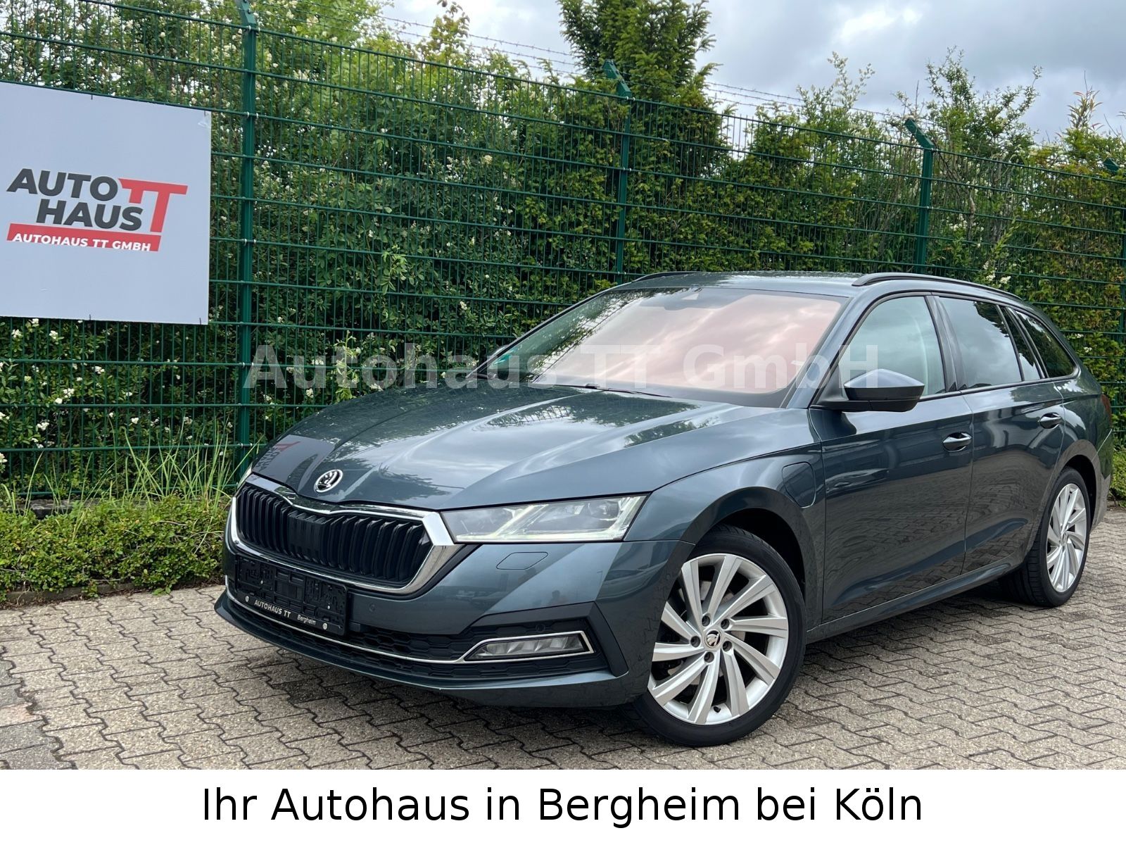 Skoda Octavia Combi First Edition iV - Samsaru's Car Outlet