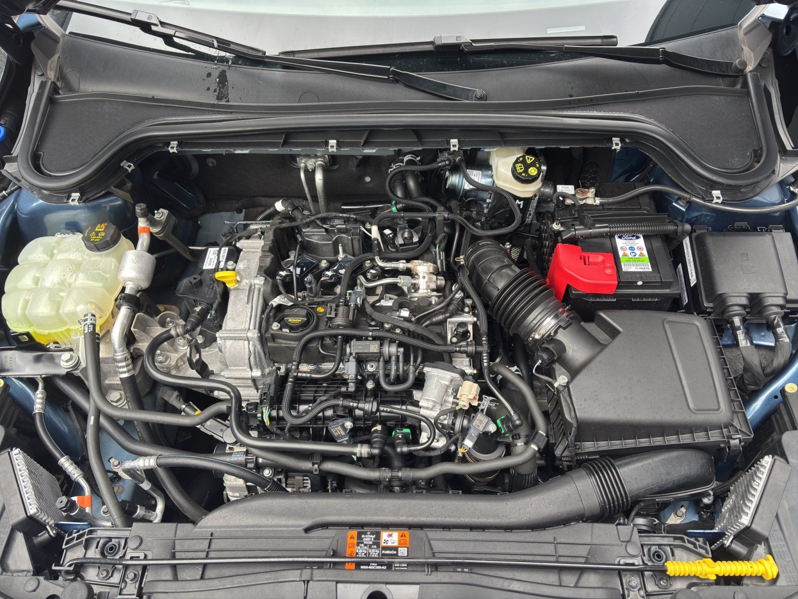 Ford Focus 1.0 Ecoboost ST-Line #Winterpaket #Fahrass