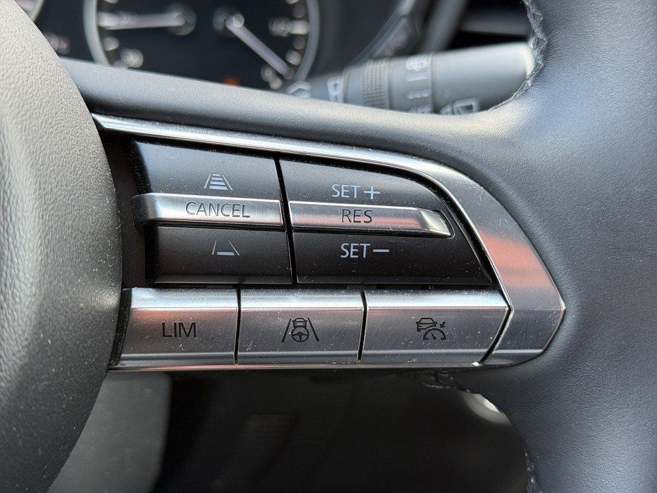 Mazda CX-30 X 186PS AT+ 360°+AHK+BOSE+KLIMA+NAVI+