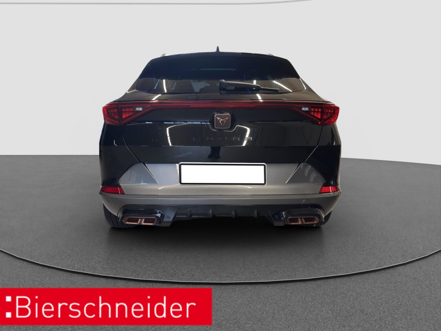 Cupra Formentor 1.4 TSI DSG e-Hybrid VZ AHK PANO REAR