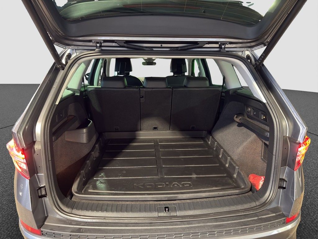 Skoda Kodiaq 2.0 TDI DSG Style 4x4 AHK / BP Amundsen /