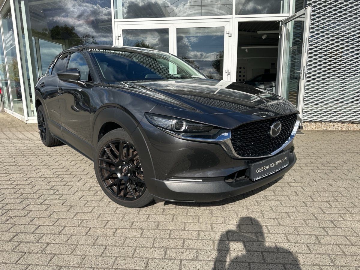 Mazda CX-30 AWD AHK 1. Hand 360° BOSE LogIn Matrix Kli